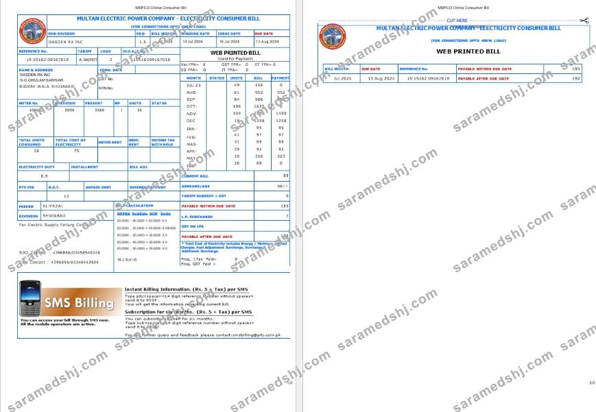 PAKISTAN MULTAN ELECTRIC POWER business utility bill Word and PDF template